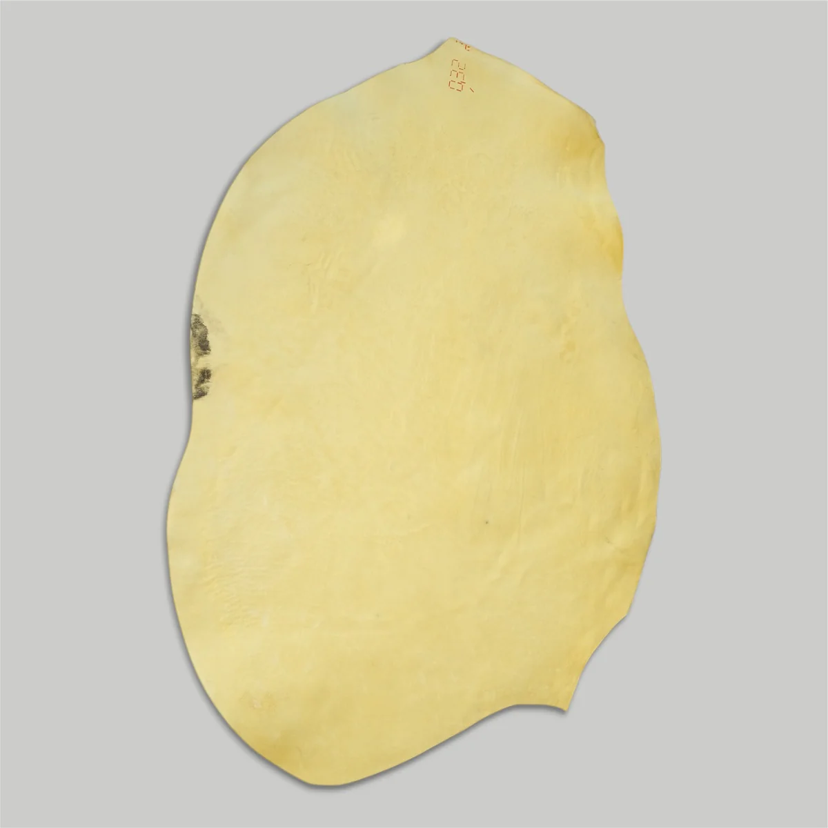 Atlantica Leather S.r.L - Shell Cordovan - Image 10