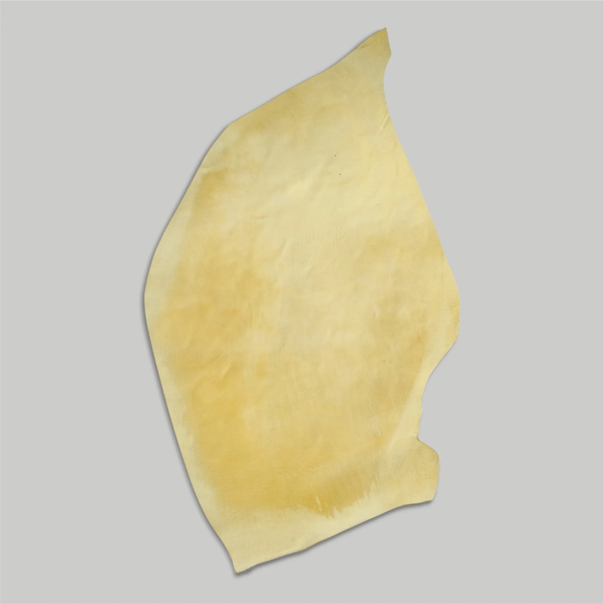 Atlantica Leather S.r.L - Shell Cordovan - Image 12