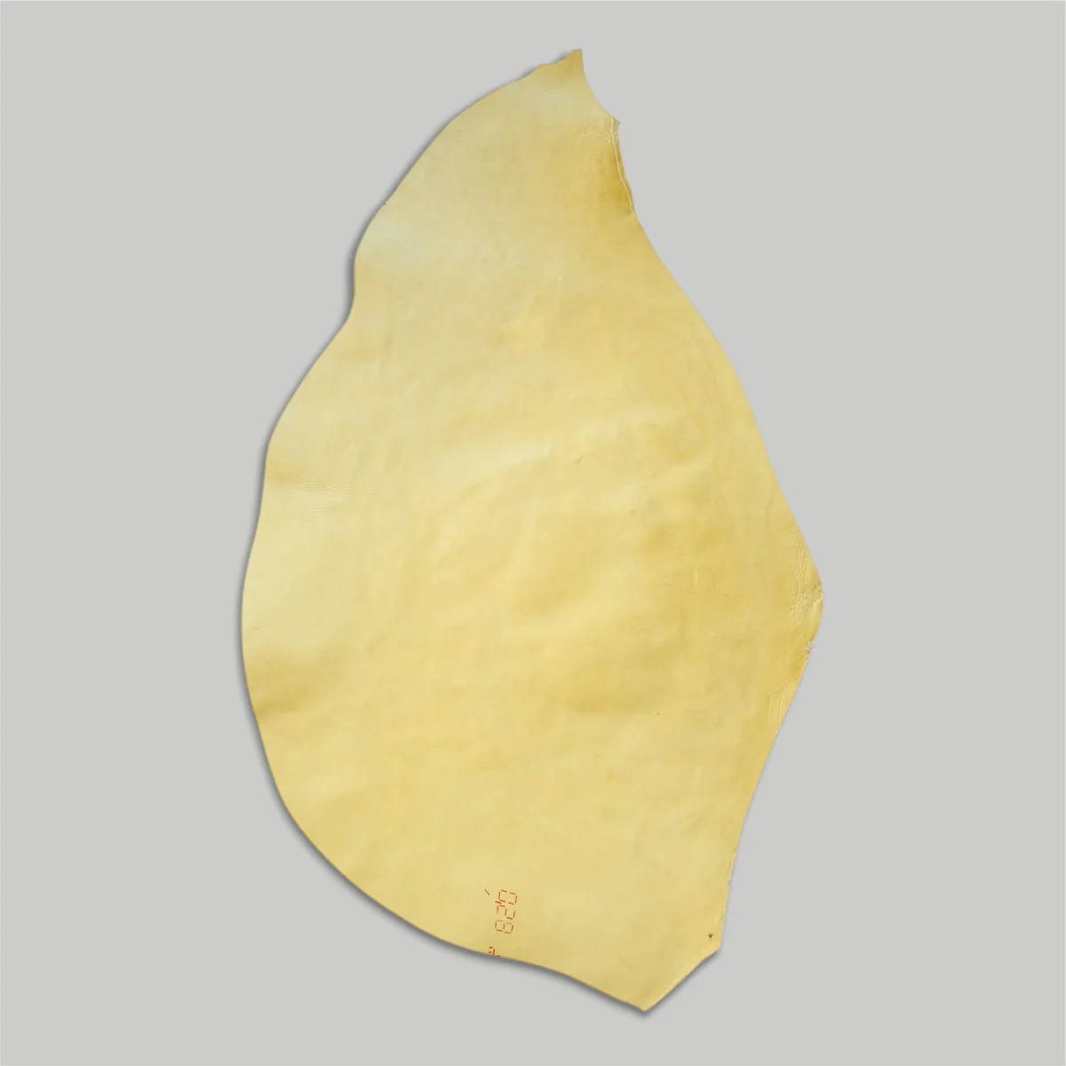 Atlantica Leather S.r.L - Shell Cordovan - Image 14