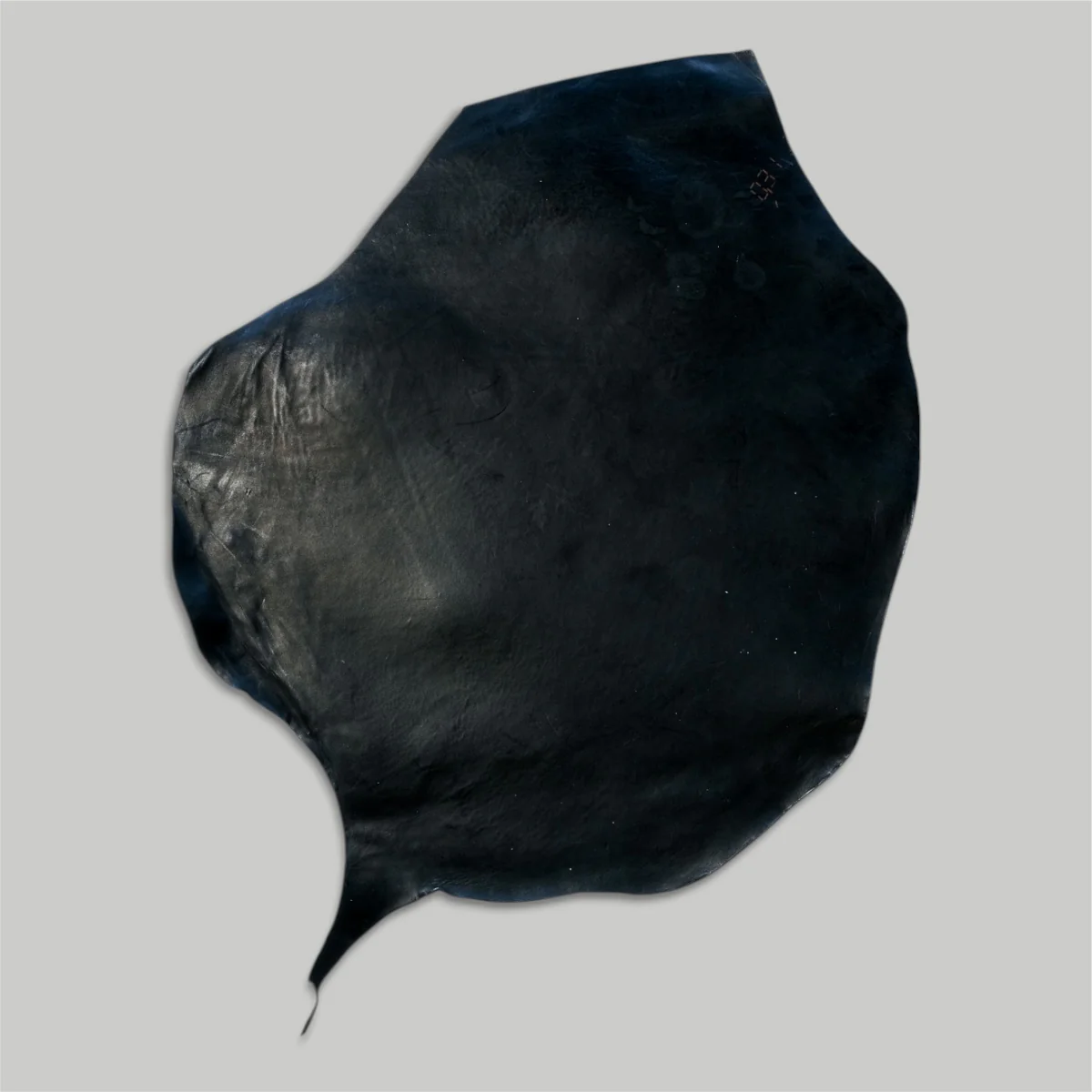 Atlantica Leather S.r.L - Shell Cordovan - Image 23