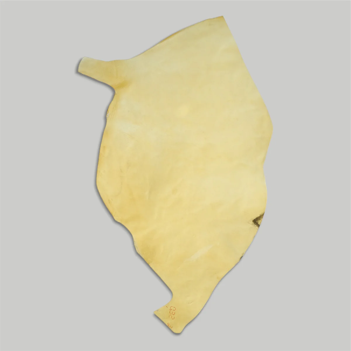 Atlantica Leather S.r.L - Shell Cordovan - Image 4