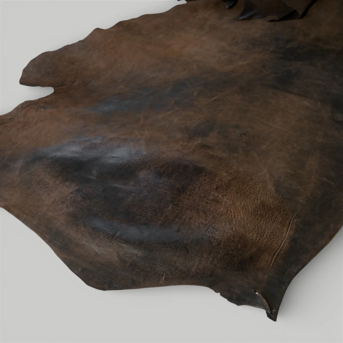 Atlantica Leather S.r.L - Capalbio Shell-On Sides - Image 10