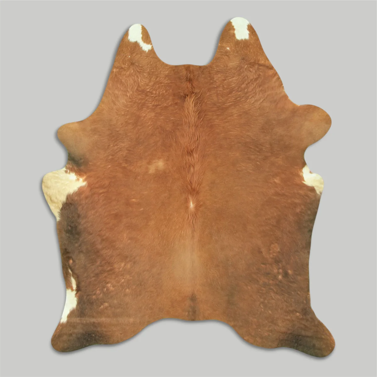 Cowhide Rug - Image 36