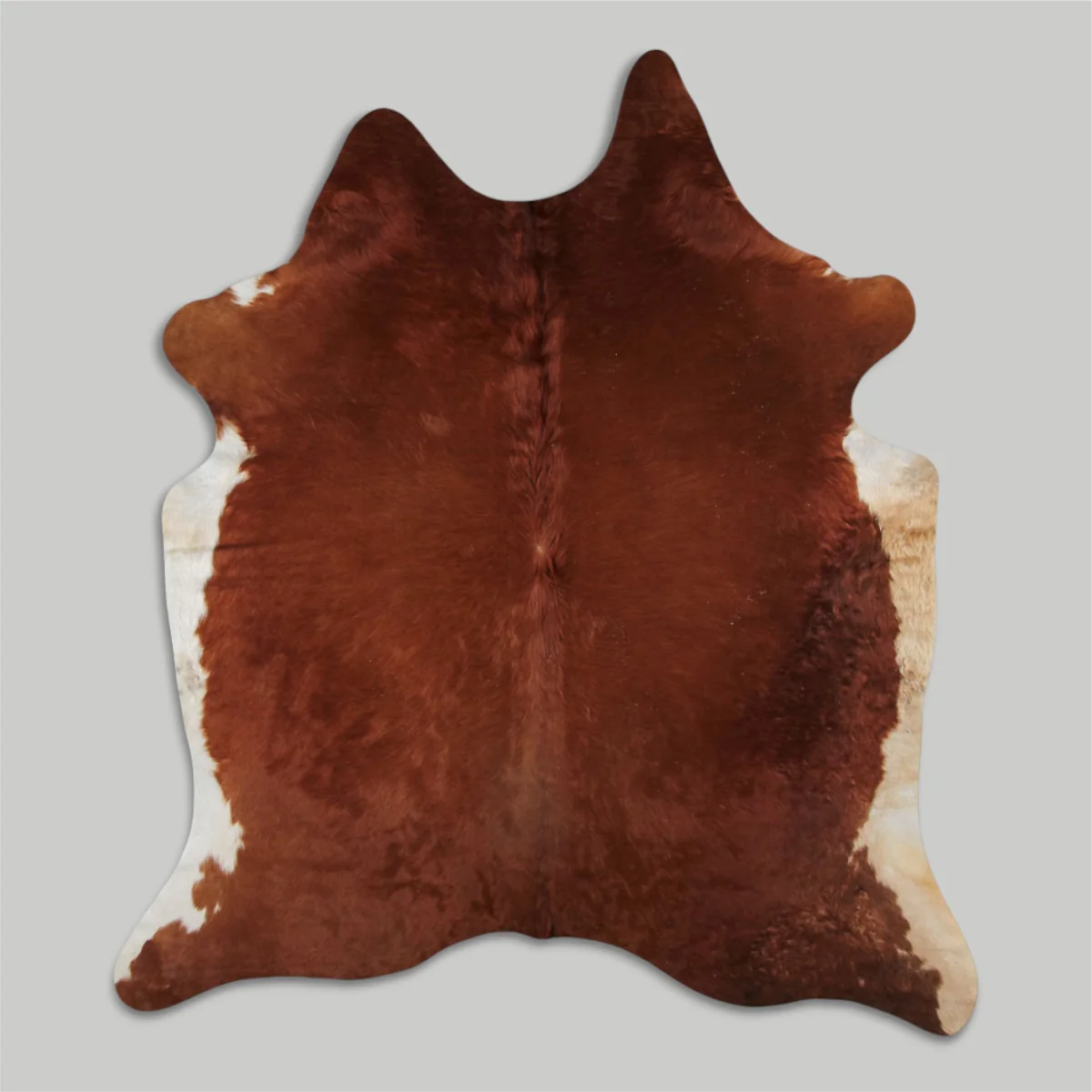 Cowhide Rug - Image 38