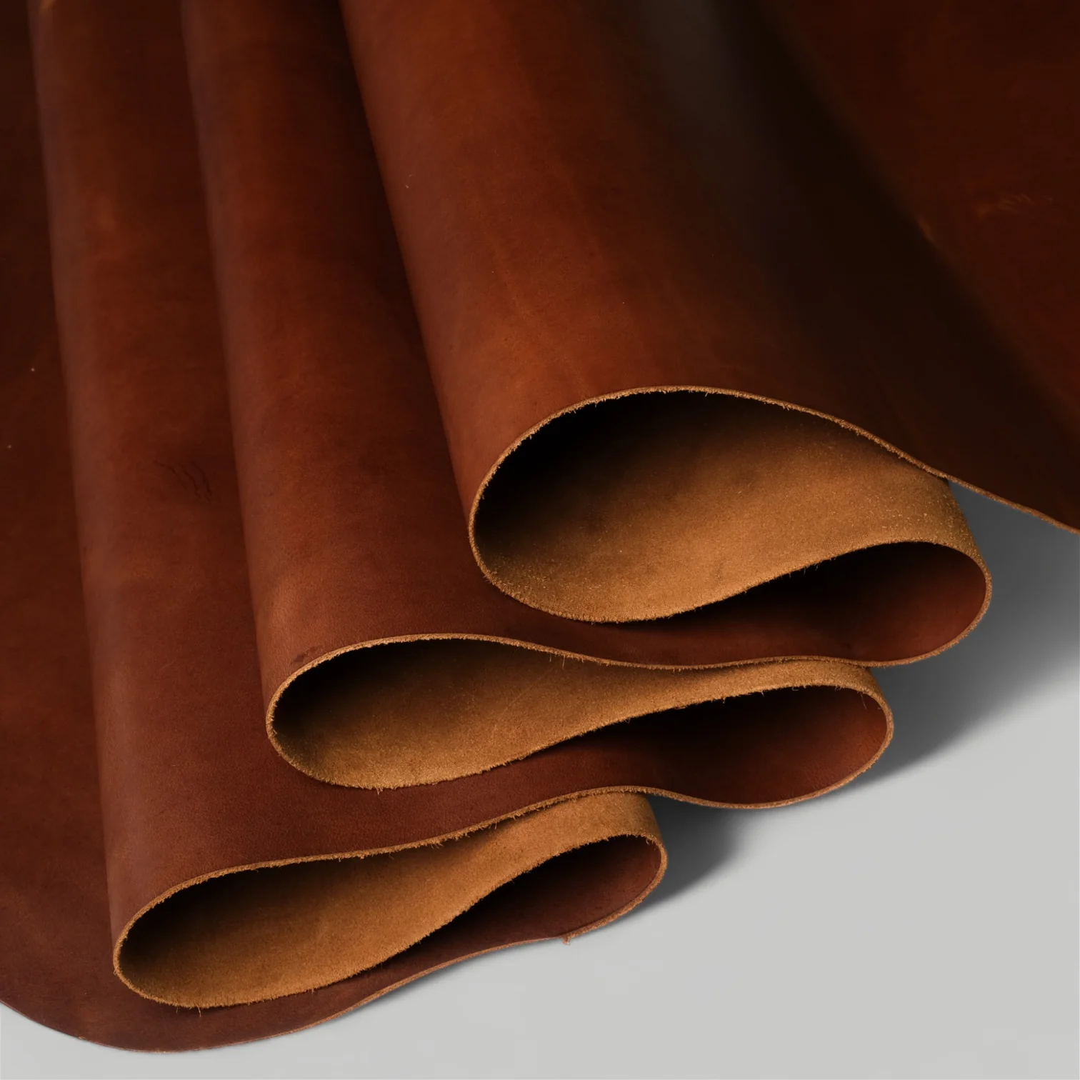 Heritage Series / 9 COLOURS - Image 10