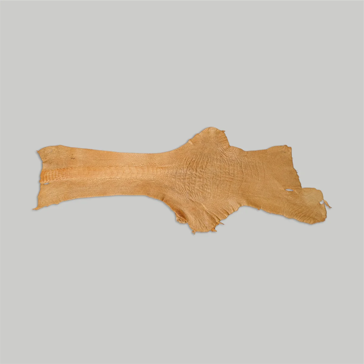 Ostrich Legs - Canadian Tanned - Image 2