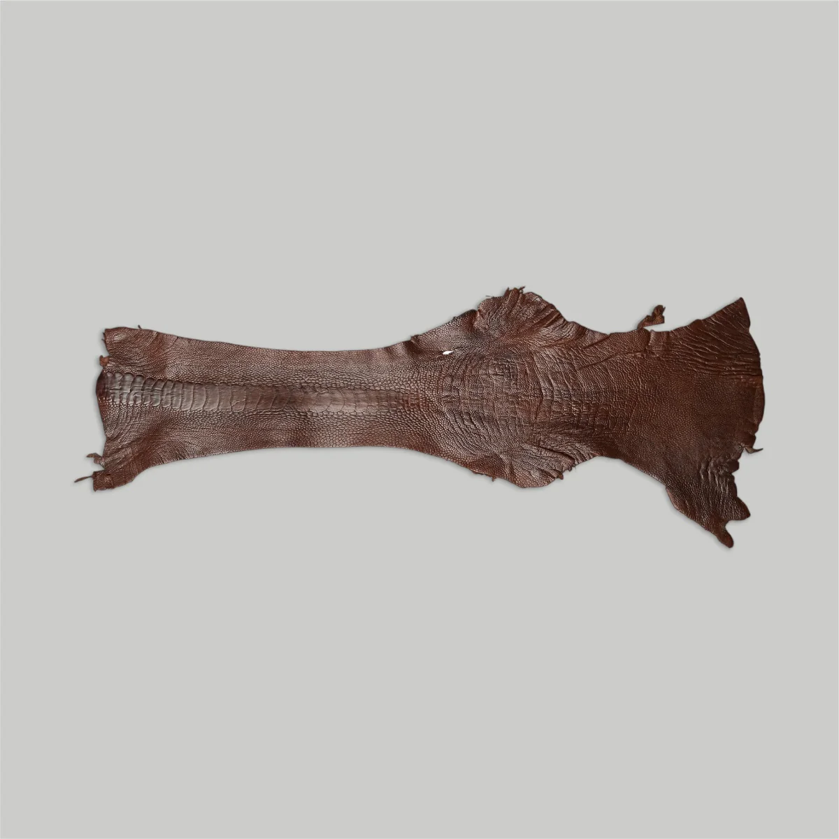 Ostrich Legs - Canadian Tanned - Image 3