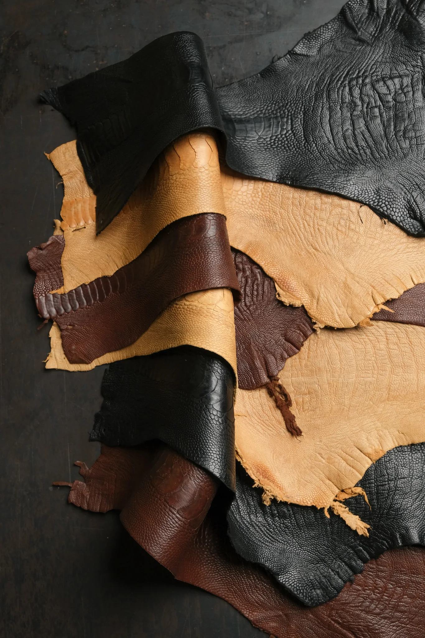 Ostrich Legs - Canadian Tanned - Image 5