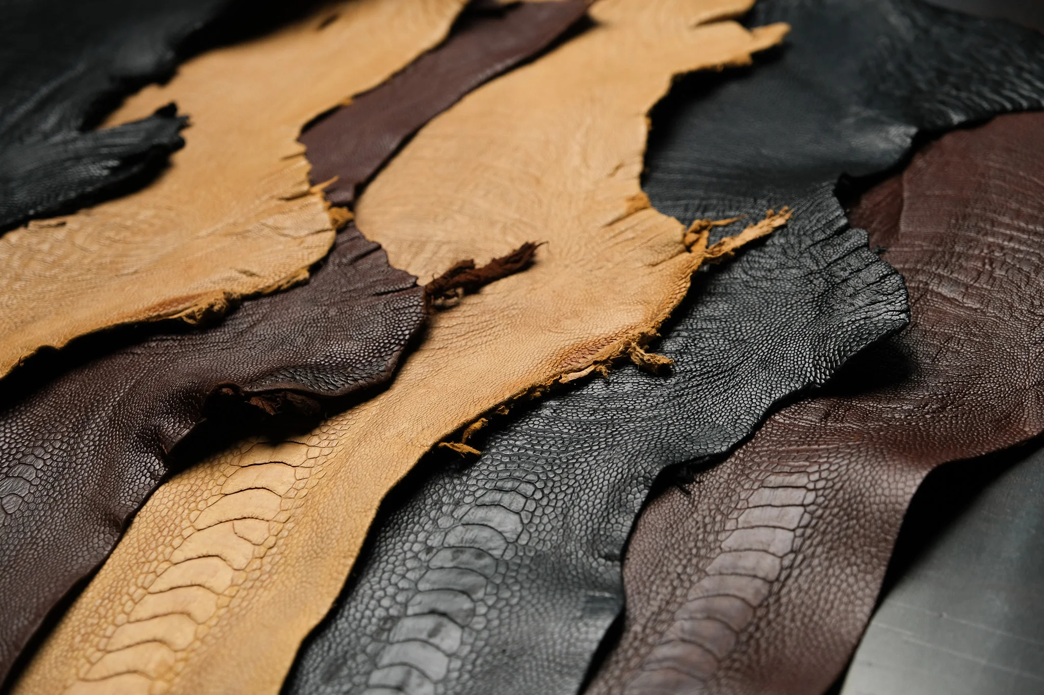 Ostrich Legs - Canadian Tanned - Image 6