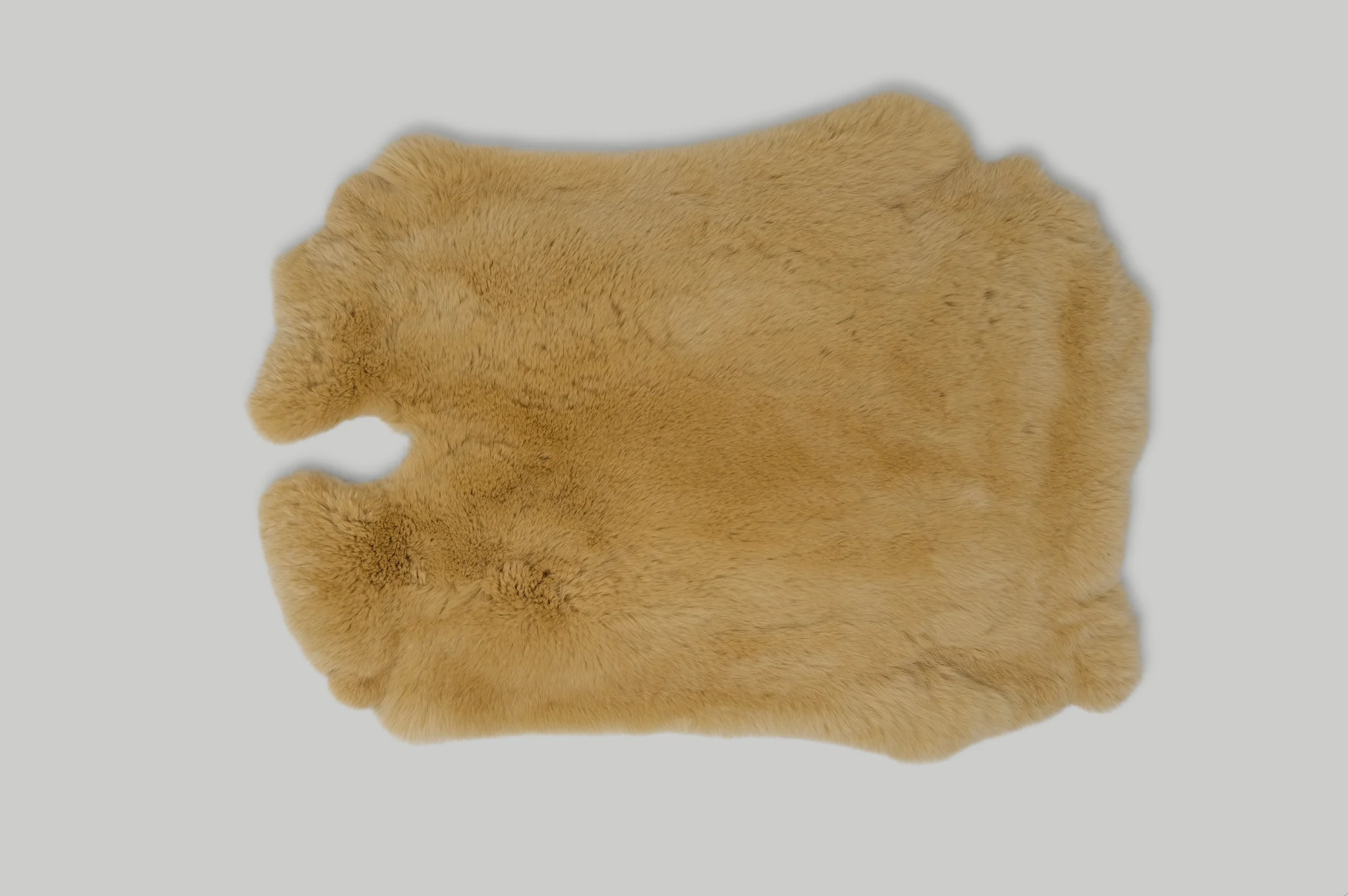 RABBIT / 14 COLOURS - Image 10