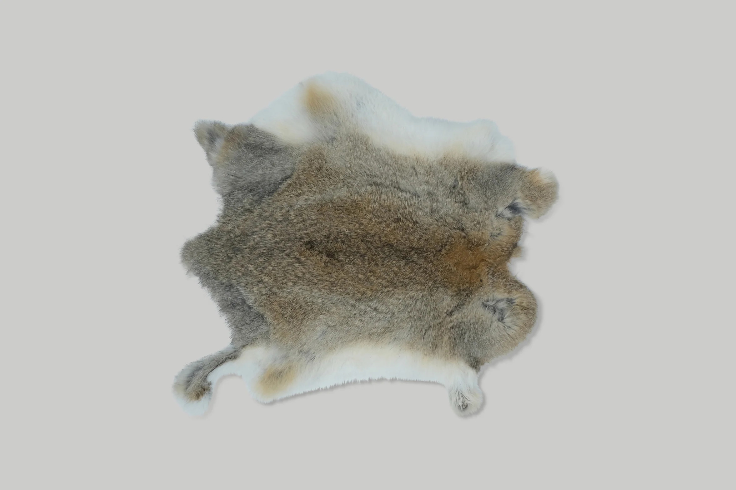 Rabbit / Natural