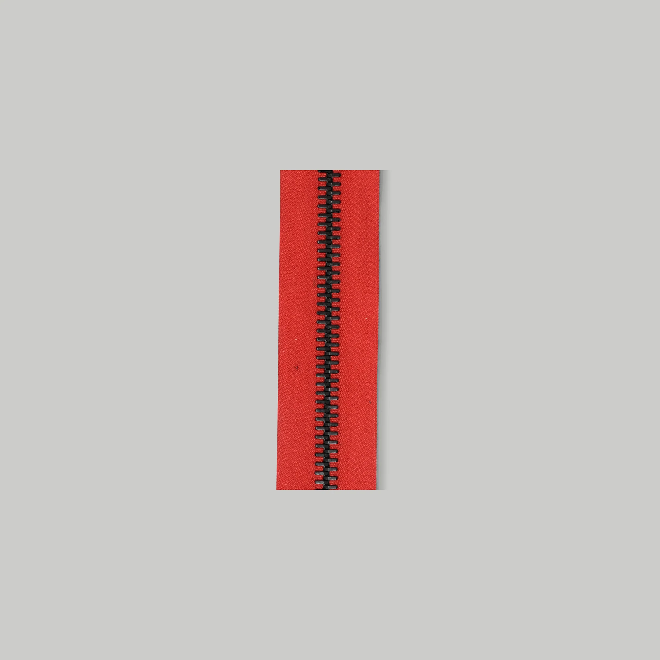 RACCAGNI Super R Zipper / Red tape - Image 3
