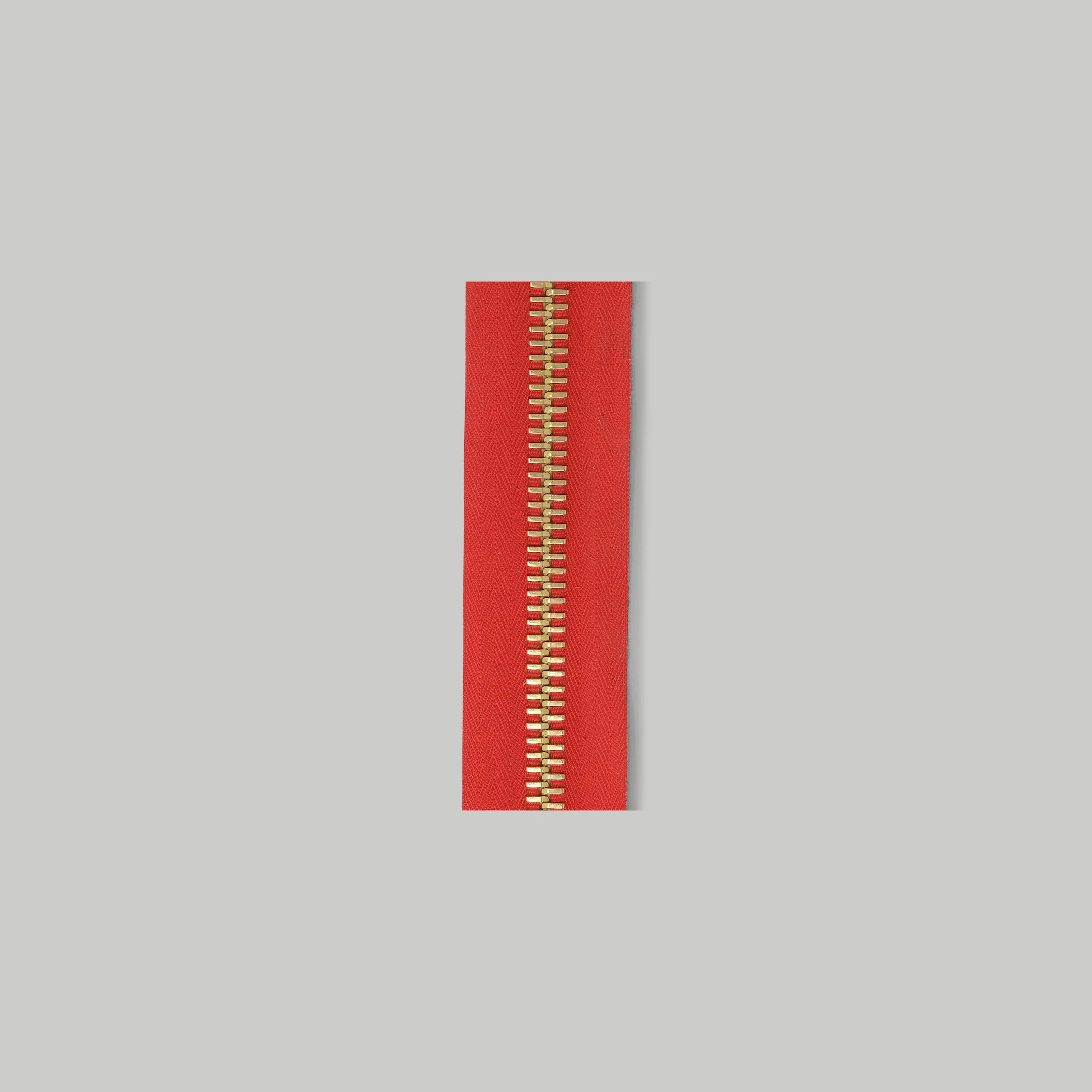 RACCAGNI Super R Zipper / Red tape - Image 4